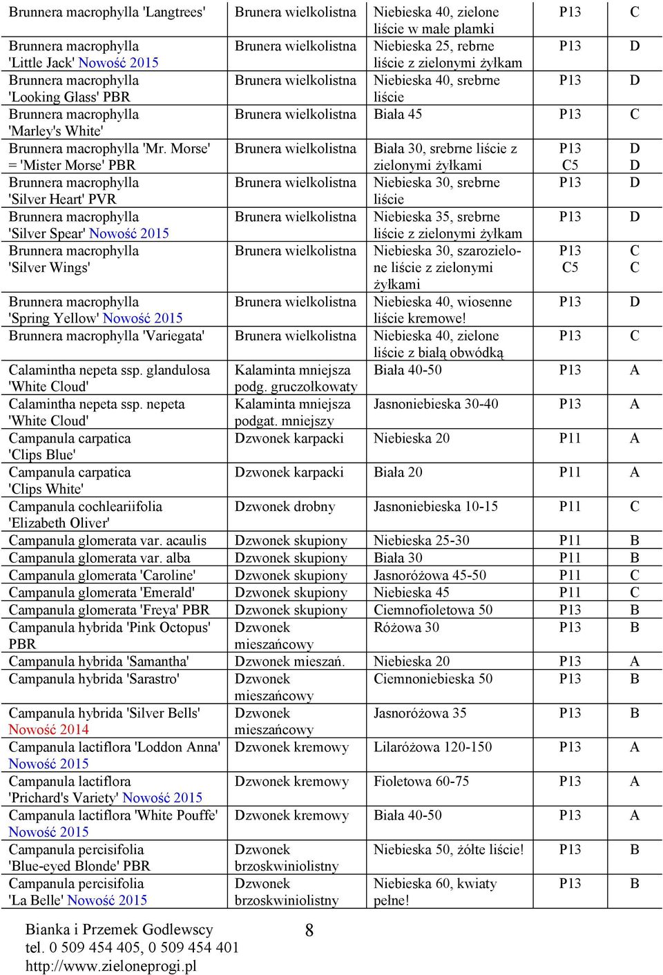Morse' = 'Mister Morse' PR runera wielkolistna iała 30, srebrne liście z zielonymi żyłkami 5 runnera macrophylla runera wielkolistna Niebieska 30, srebrne 'Silver Heart' PVR liście runnera
