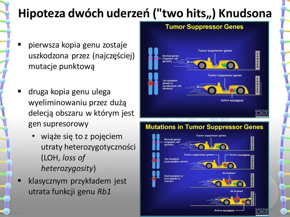 delecją obszaru w którym jest gen supresorowy wiąże się to z pojęciem utraty