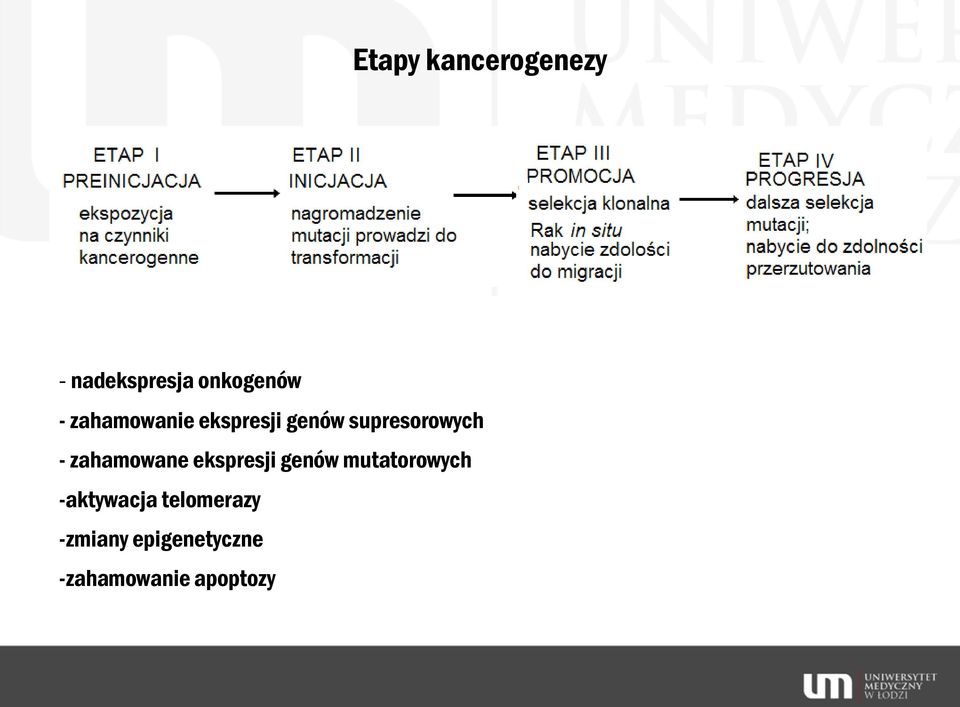 zahamowane ekspresji genów mutatorowych