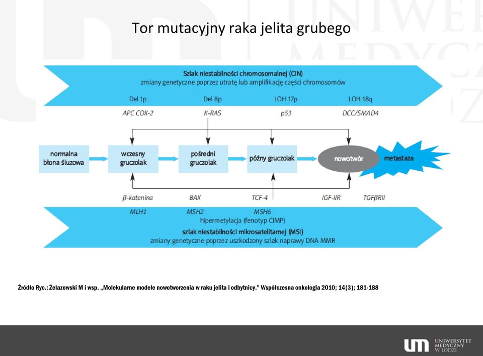 Molekularne modele nowotworzenia w raku