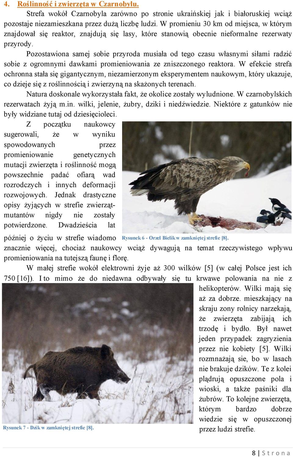 To działalność owadzich szkodników, których jest tam znacznie więcej niż w naszych lasach, regularnie opryskiwanych, ale to też świadczy o obudzonym tam życiu.