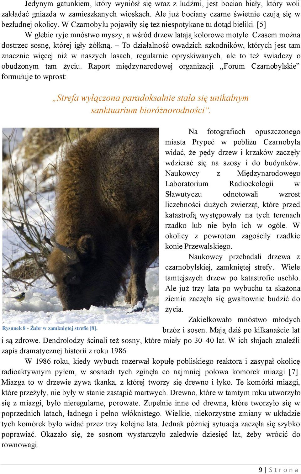 Drzewa w Czarnym Lesie nie próchniały, bo były sterylne. Nie było na nich żadnych mikroorganizmów, które mogłyby rozłożyć drewno [6].