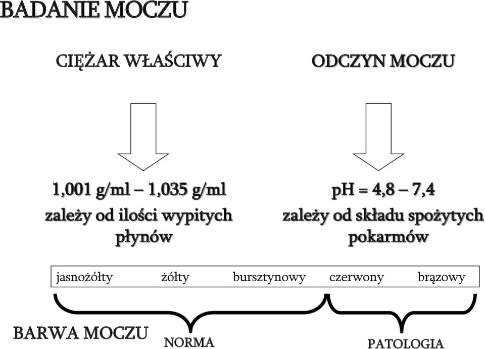 7,4 zależy od składu spożytych pokarmów jasnożółty