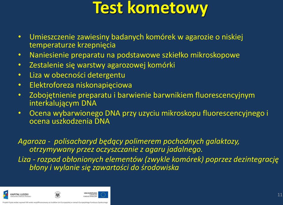 interkalującym DNA Ocena wybarwionego DNA przy uzyciu mikroskopu fluorescencyjnego i ocena uszkodzenia DNA Agaroza - polisacharyd będący polimerem pochodnych