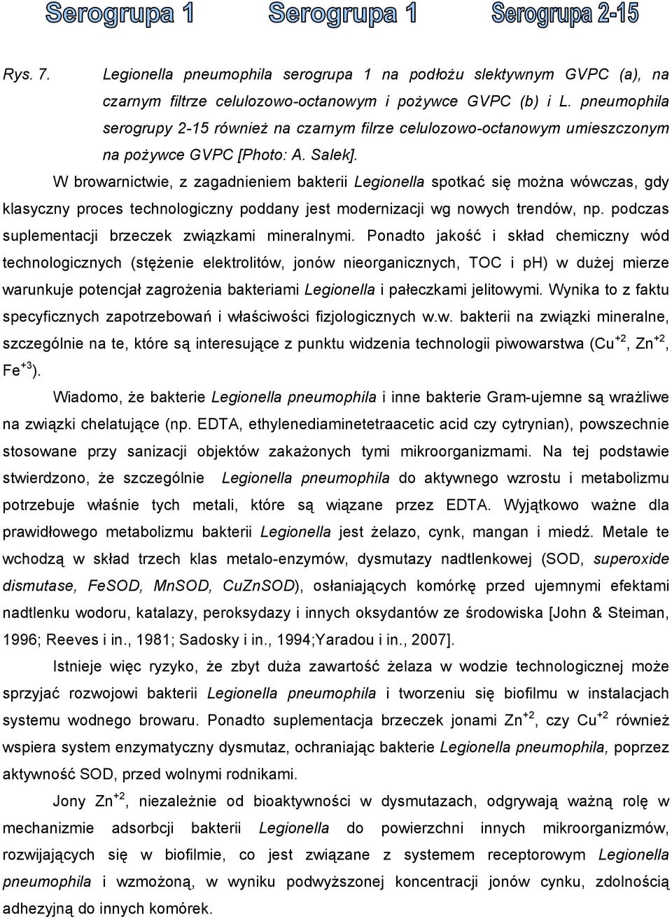 W browarnictwie, z zagadnieniem bakterii Legionella spotkać się można wówczas, gdy klasyczny proces technologiczny poddany jest modernizacji wg nowych trendów, np.