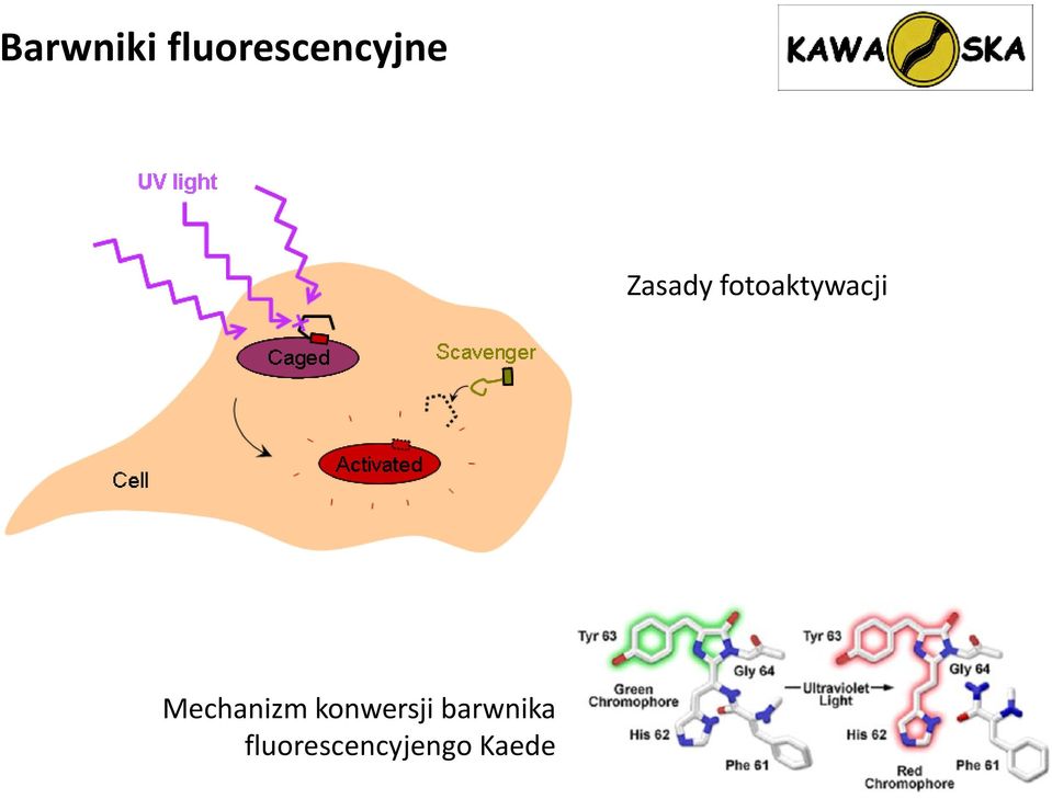 Mechanizm konwersji