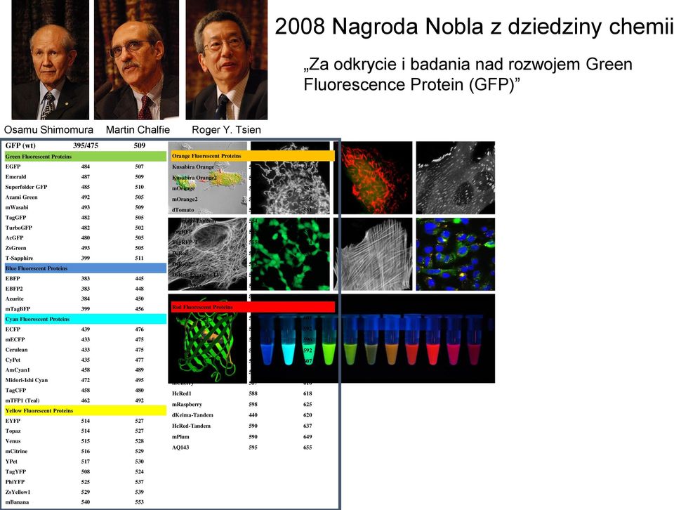 Azami Green 492 505 morange2 549 565 mwasabi 493 509 dtomato 554 581 TagGFP 482 505 dtomato-tandem 554 581 TurboGFP 482 502 TagRFP 555 584 AcGFP 480 505 TagRFP-T 555 584 ZsGreen 493 505 DsRed 558 583