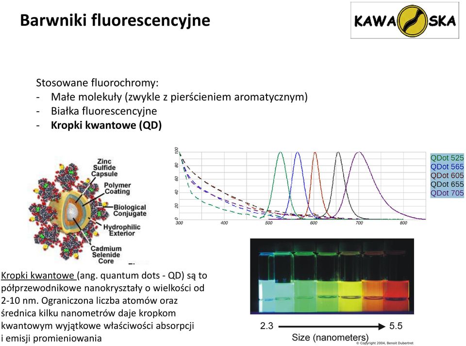 quantum dots - QD) są to półprzewodnikowe nanokryształy o wielkości od 2-10 nm.