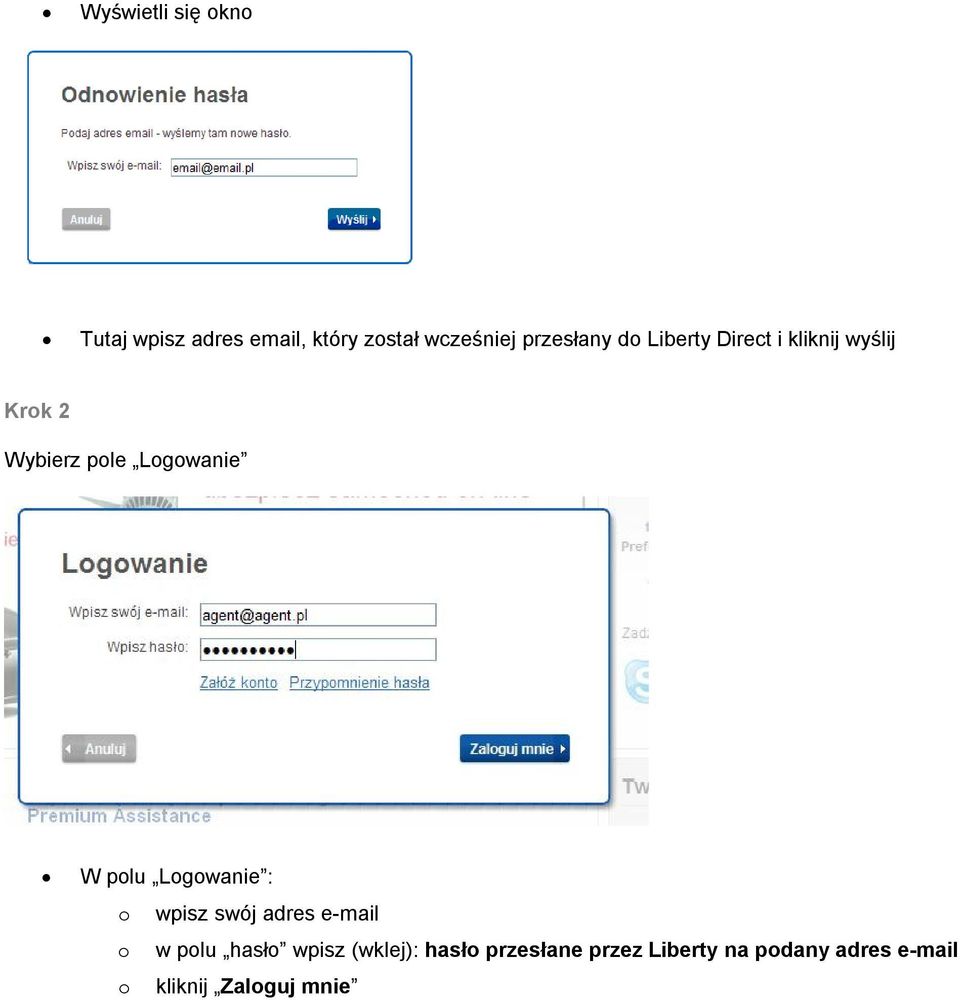 Logowanie W polu Logowanie : o wpisz swój adres e-mail o w polu hasło