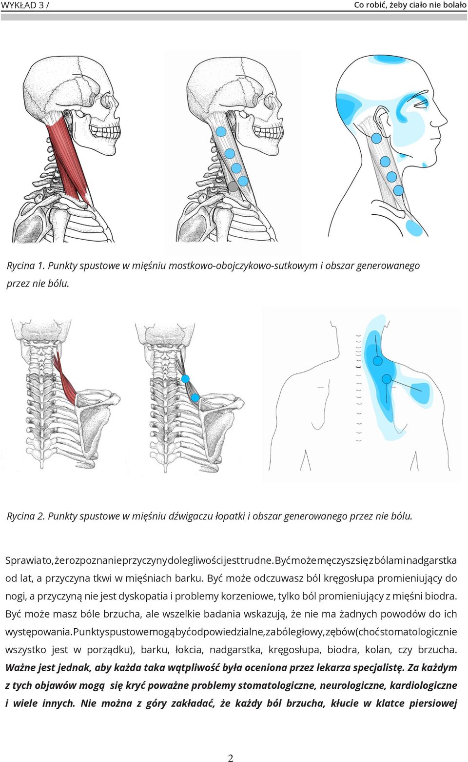 Terapia punktów spustowych - PDF Free Download