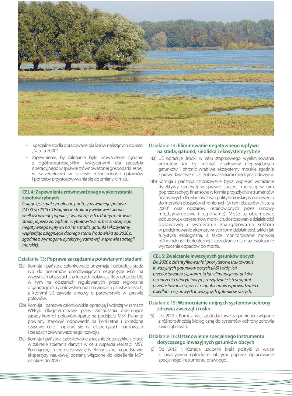 CEL 4: Zapewnienie zrównoważonego wykorzystania zasobów rybnych Osiągnięcie maksymalnego podtrzymywalnego połowu (MSY) do 2015 r.