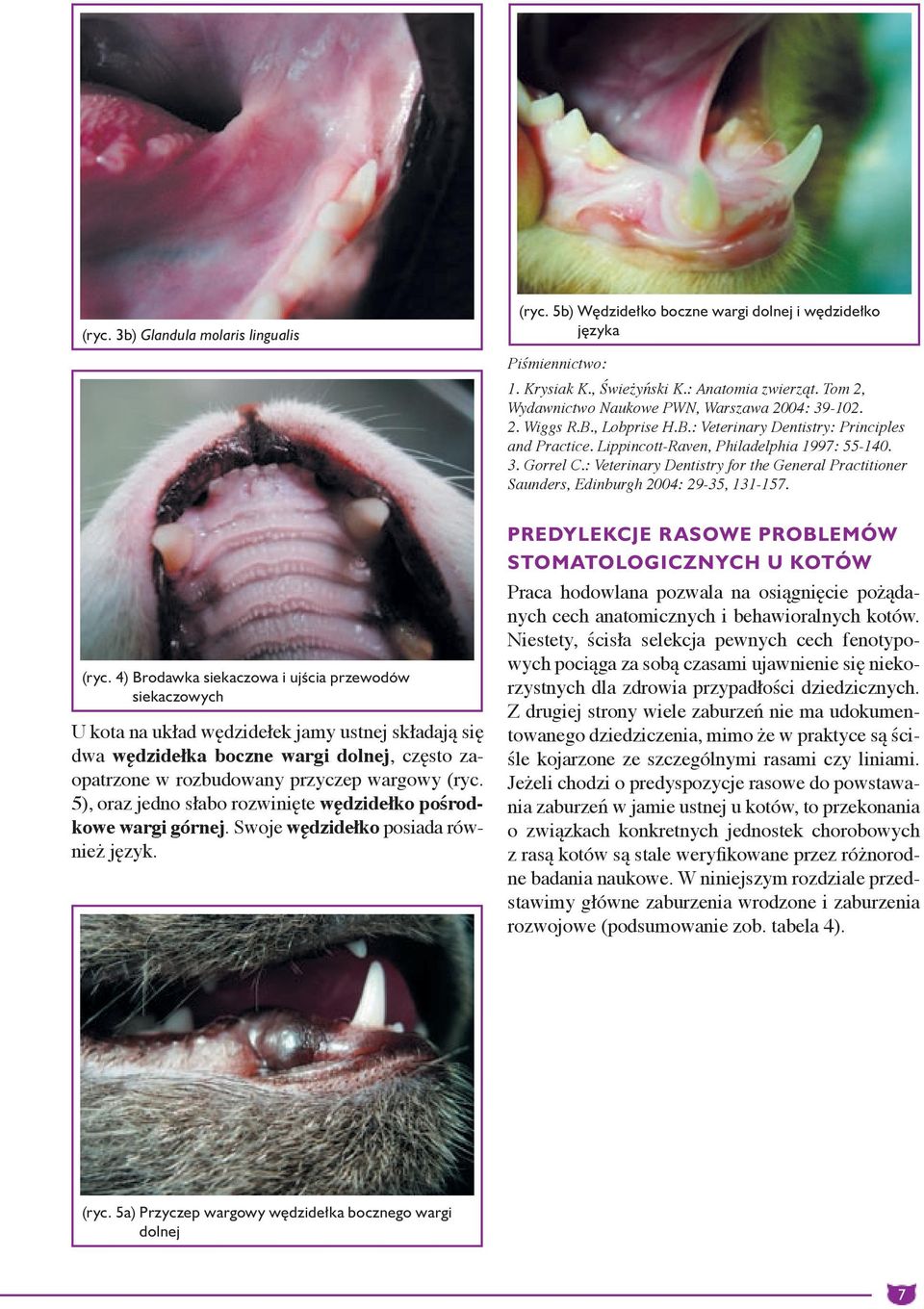 : Veterinary Dentistry for the General Practitioner Saunders, Edinburgh 2004: 29-35, 131-157. (ryc.