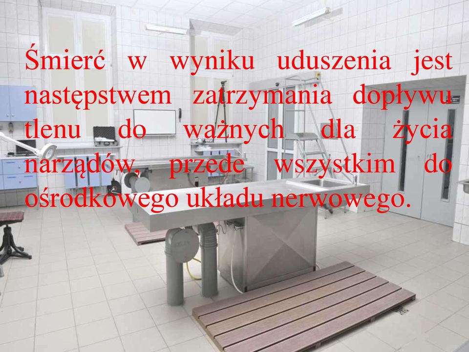 do ważnych dla życia narządów, przede