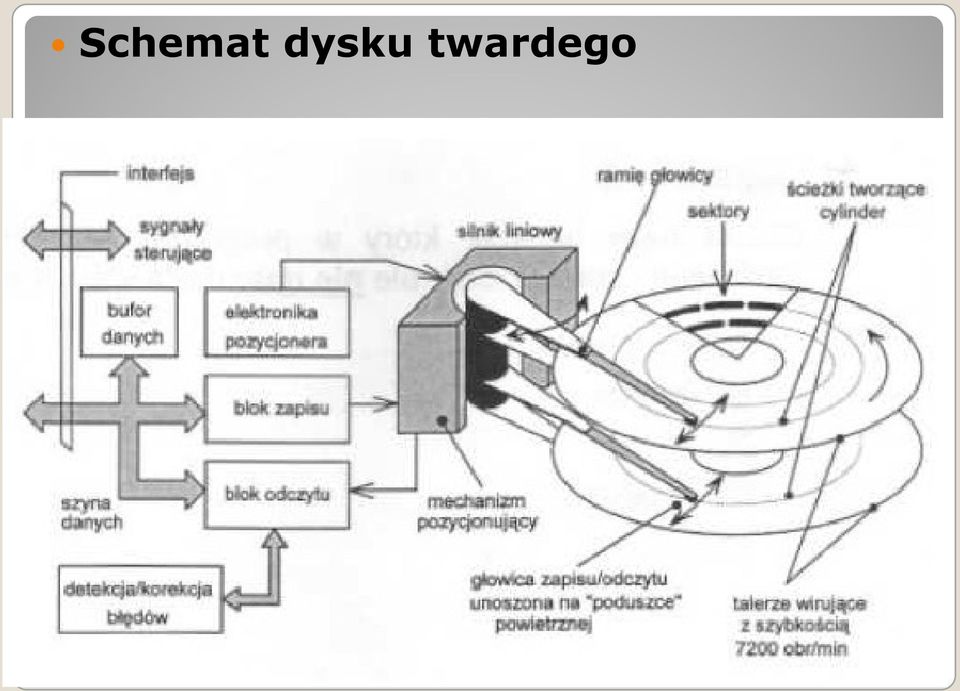 twardego