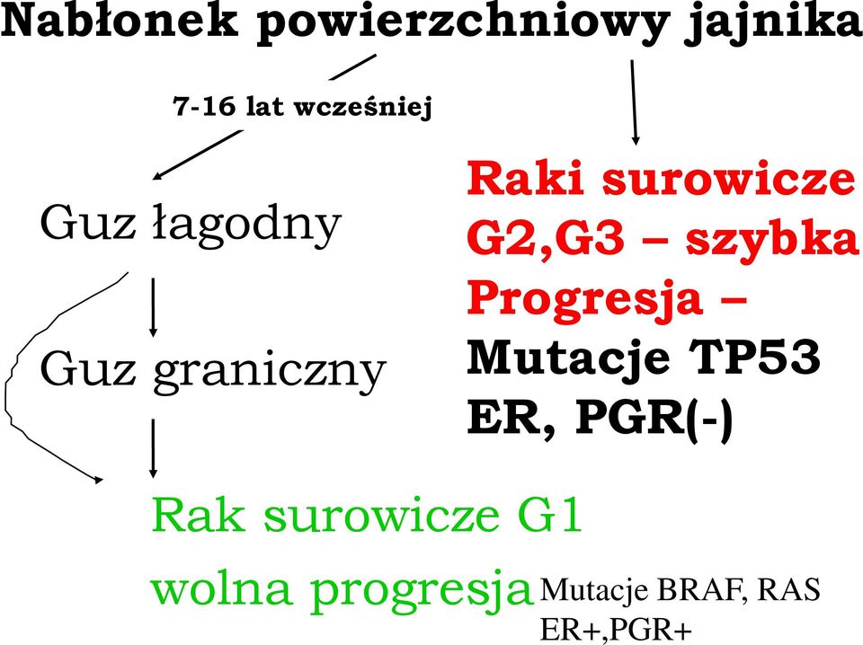 surowicze G2,G3 szybka Progresja Mutacje TP53 ER,