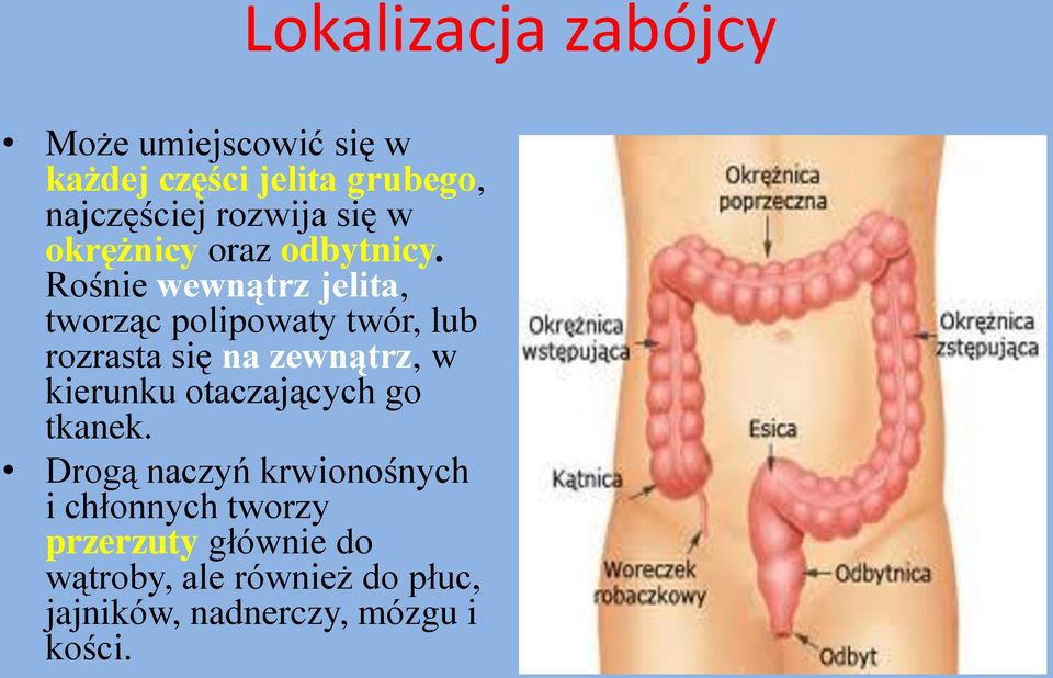 Rośnie wewnątrz jelita, tworząc polipowaty twór, lub rozrasta się na zewnątrz, w kierunku