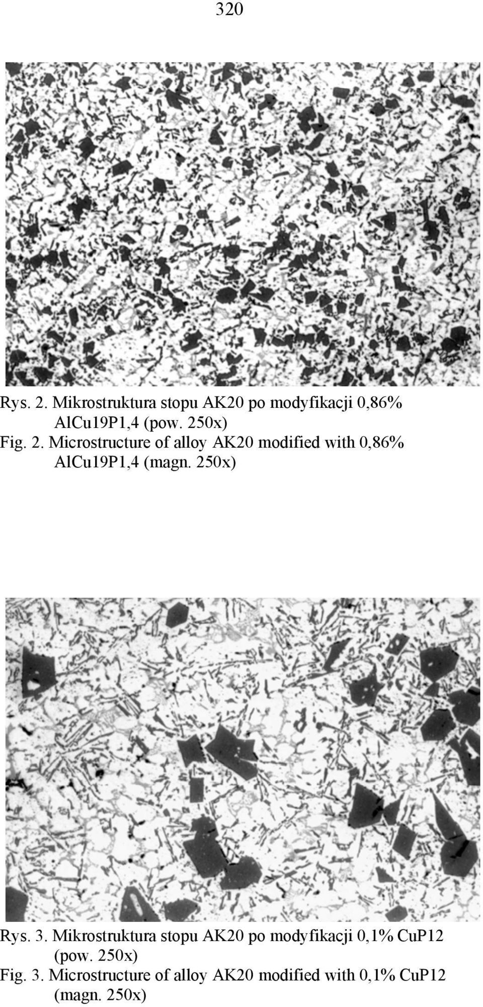 Microstructure of alloy AK20 modified with 0,86% AlCu19P1,4 (magn. 250x) Rys.