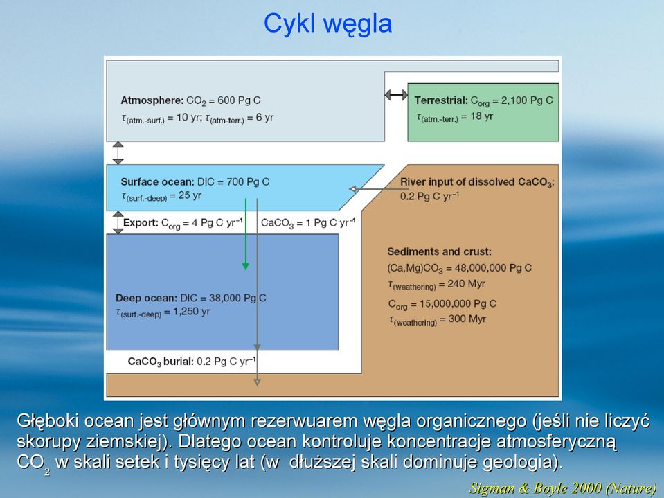 Dlatego ocean kontroluje koncentracje atmosferyczną CO2 w skali