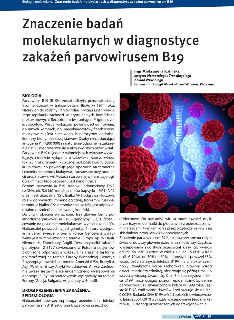Transfuzjologii Zakład Wirusologii Pracownia Biologii Molekularnej Wirusów, Warszawa BIOLOGIA Parvowirus B19 (B19V) został odkryty przez wirusolog Yvonne Cossart w trakcie badań HBsAg w 1974 roku.