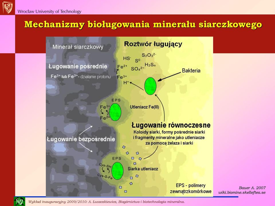siarczkowego Bauer A.