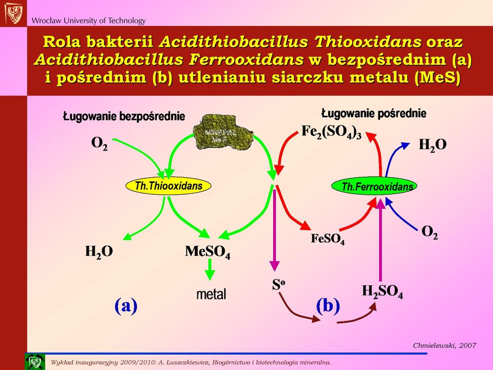 Ferrooxidans w bezpośrednim (a) i