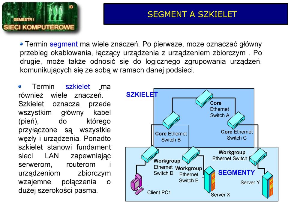 Szkielet oznacza przede wszystkim główny kabel (pień), do którego przyłączone są wszystkie węzły i urządzenia.