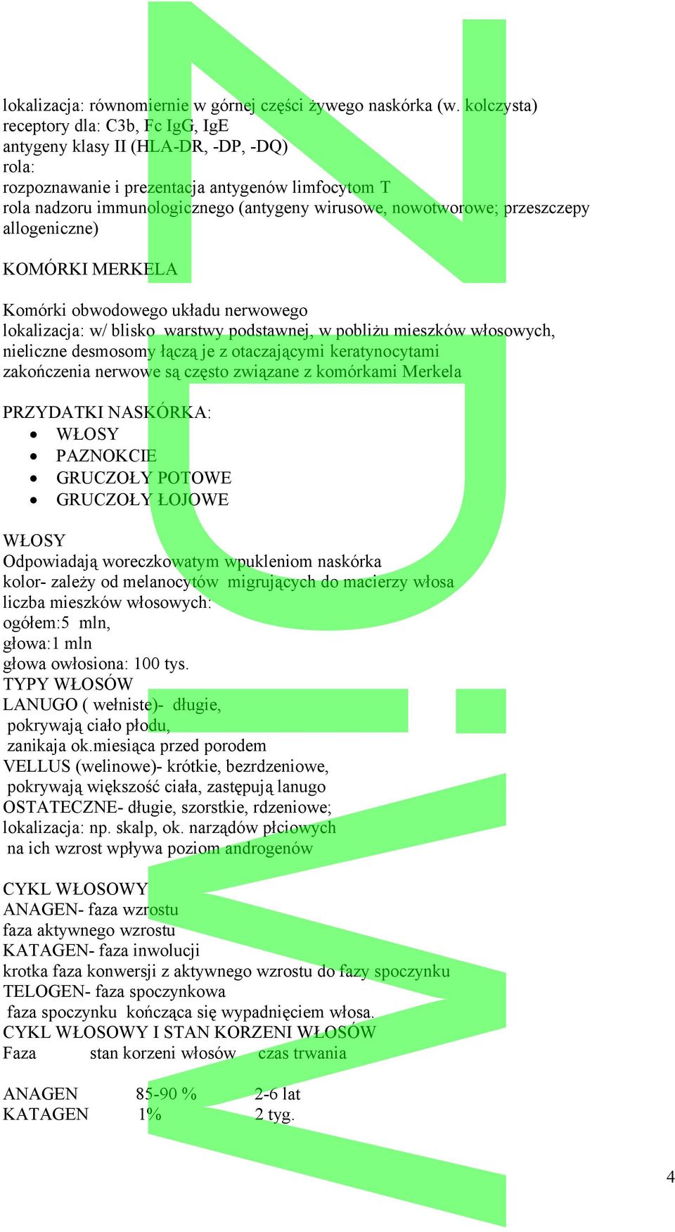 przeszczepy allogeniczne) KOMÓRKI MERKELA Komórki obwodowego układu nerwowego lokalizacja: w/ blisko warstwy podstawnej, w pobliżu mieszków włosowych, nieliczne desmosomy łączą je z otaczającymi