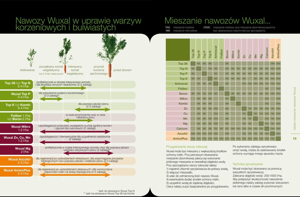 Boron Mikro Kombi Zn Cu Mn Mg Calcium Ascofol AminoPlus kiełkowanie początkowy wzrost wegetatywny (od 2-3 liści właściwych) intensywny wzrost wegetatywny przyrost korzenia spichrzowego przed zbiorem