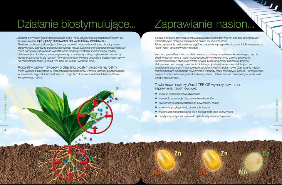 Działanie o charakterze biostymulującym może korzystnie wpływać na wykształcenie lepszego systemu korzeniowego, lepszą efektywność chlorofilu, szybszą regenerację uszkodzonej rośliny, szybsze
