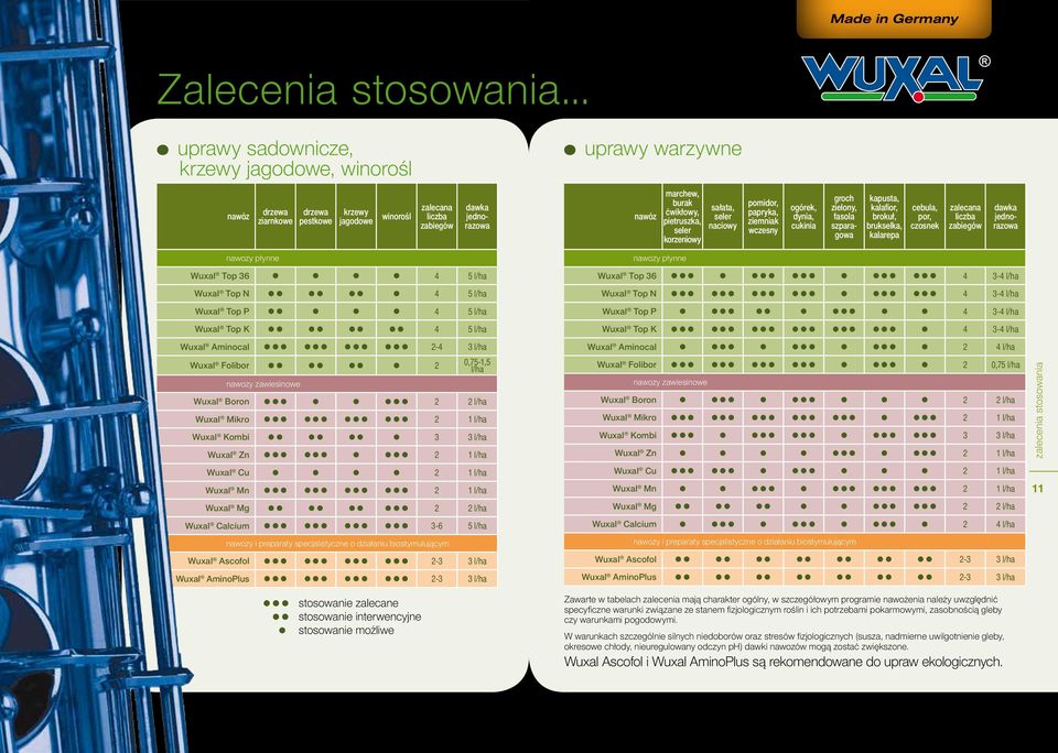 ćwikłowy, pietruszka, seler korzeniowy sałata, seler naciowy pomidor, papryka, ziemniak wczesny ogórek, dynia, cukinia groch zielony, fasola szparagowa kapusta, kalafior, brokuł, brukselka, kalarepa