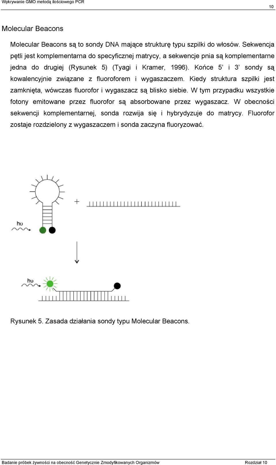 Końce 5 i 3 sondy są kowalencyjnie związane z fluoroforem i wygaszaczem. Kiedy struktura szpilki jest zamknięta, wówczas fluorofor i wygaszacz są blisko siebie.