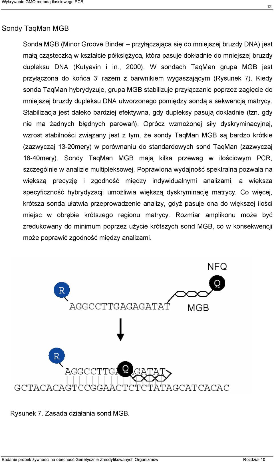 Kiedy sonda TaqMan hybrydyzuje, grupa MGB stabilizuje przyłączanie poprzez zagięcie do mniejszej bruzdy dupleksu DNA utworzonego pomiędzy sondą a sekwencją matrycy.