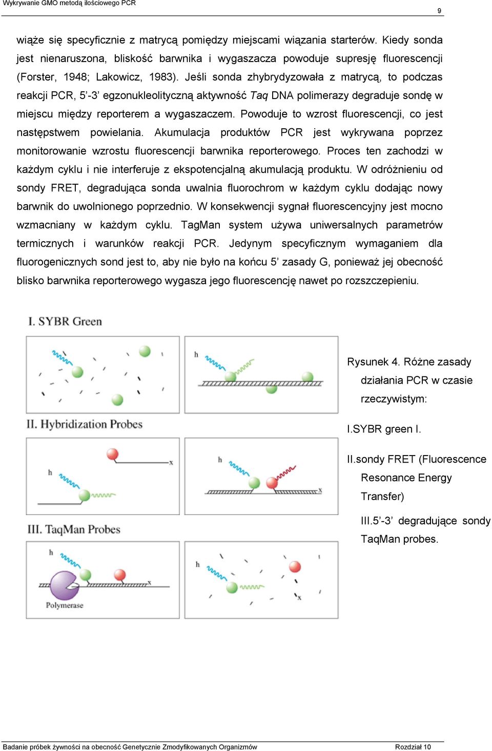 Powoduje to wzrost fluorescencji, co jest następstwem powielania. Akumulacja produktów PCR jest wykrywana poprzez monitorowanie wzrostu fluorescencji barwnika reporterowego.