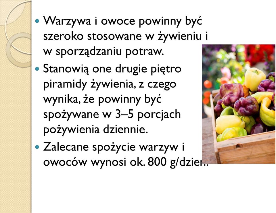 Stanowią one drugie piętro piramidy żywienia, z czego wynika, że