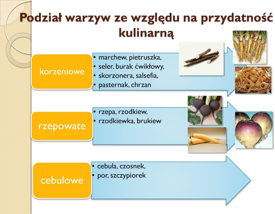 skorzonera, salsefia, pasternak, chrzan rzepowate rzepa,
