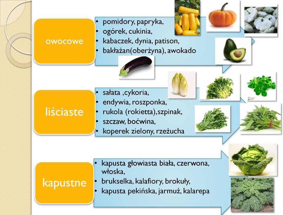 (rokietta),szpinak, szczaw, boćwina, koperek zielony, rzeżucha kapustne kapusta