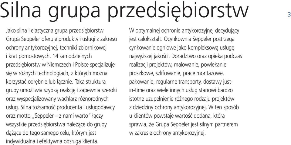 Taka struktura grupy umożliwia szybką reakcję i zapewnia szeroki oraz wyspecjalizowany wachlarz różnorodnych usług.