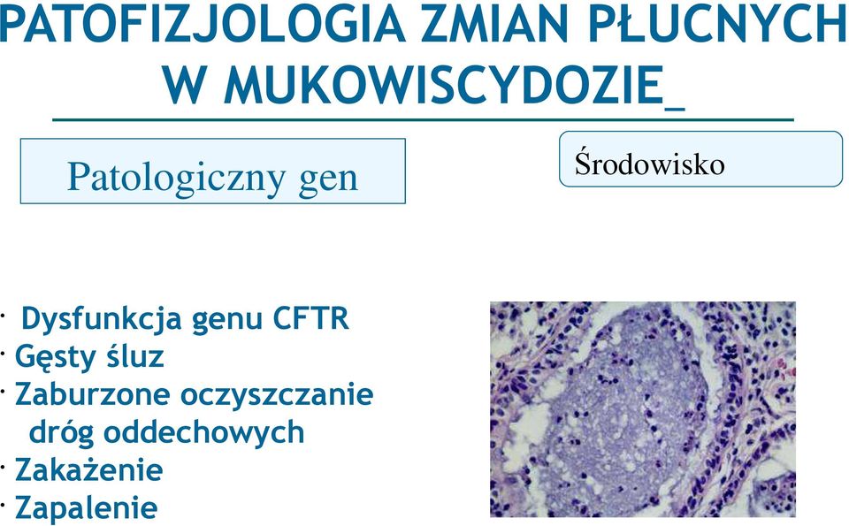 Środowisko Dysfunkcja genu CFTR Gęsty