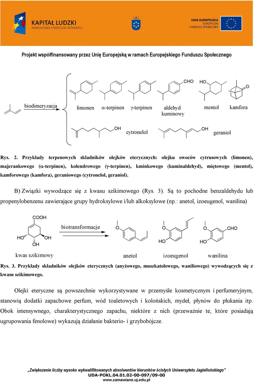 kamforowego (kamfora), geraniowego (cytronelol, geraniol). B) Związki wywodzące się z kwasu szikimowego (Rys. 3).