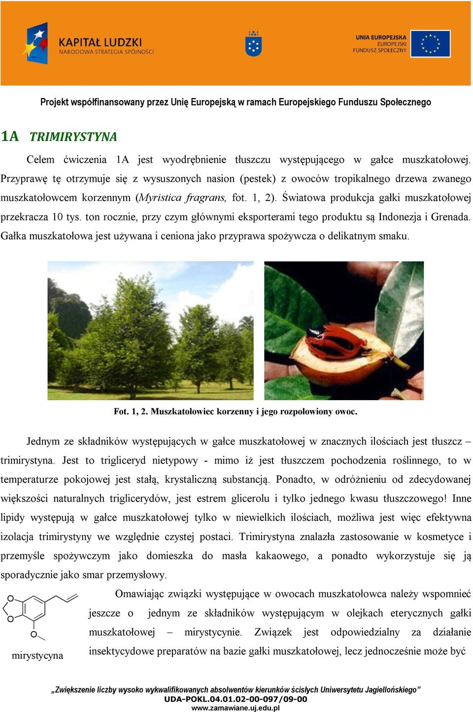 Światowa produkcja gałki muszkatołowej przekracza 10 tys. ton rocznie, przy czym głównymi eksporterami tego produktu są Indonezja i Grenada.