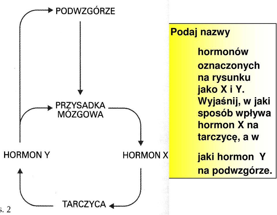 Wyjaśnij, w jaki sposób wpływa