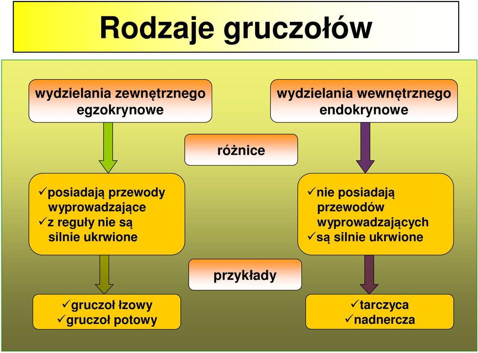 reguły nie są silnie ukrwione ünie posiadają przewodów wyprowadzających