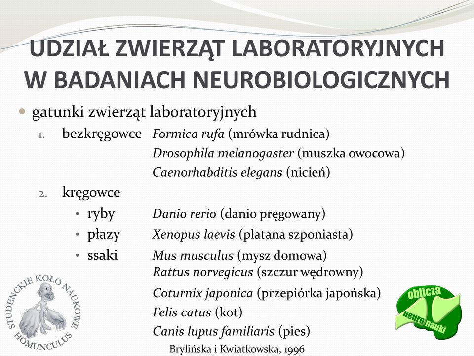 (danio pręgowany) Xenopus laevis (platana szponiasta) Mus musculus (mysz domowa) Rattus norvegicus (szczur