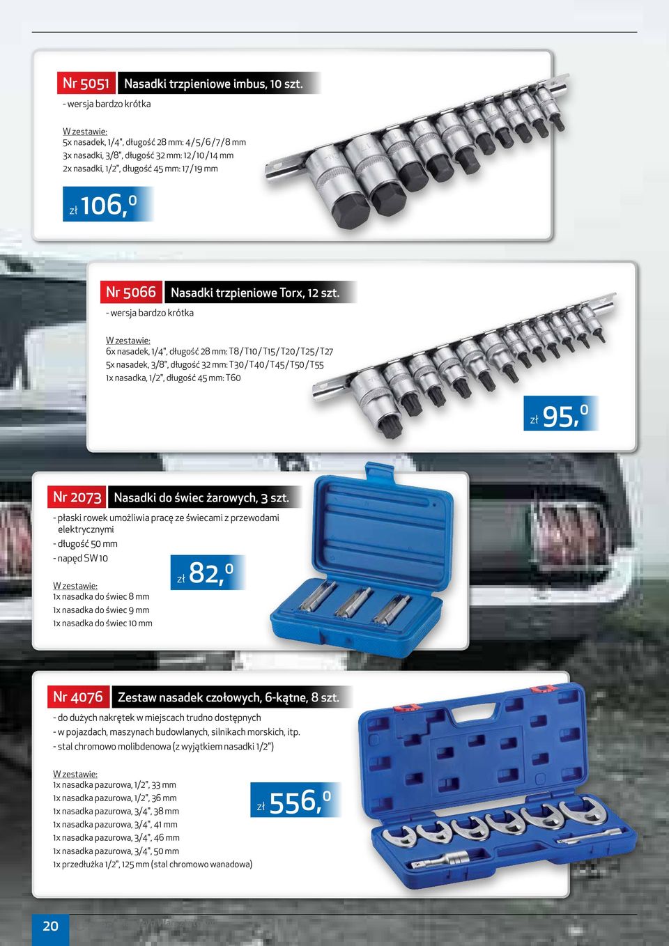 trzpieniowe Torx, 12 szt.