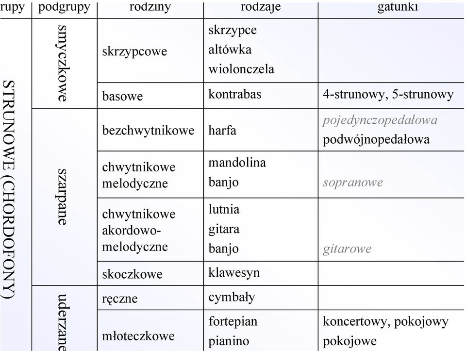 altówka wiolonczela kontrabas harfa mandolina banjo lutnia gitara banjo klawesyn cymbały fortepian pianino