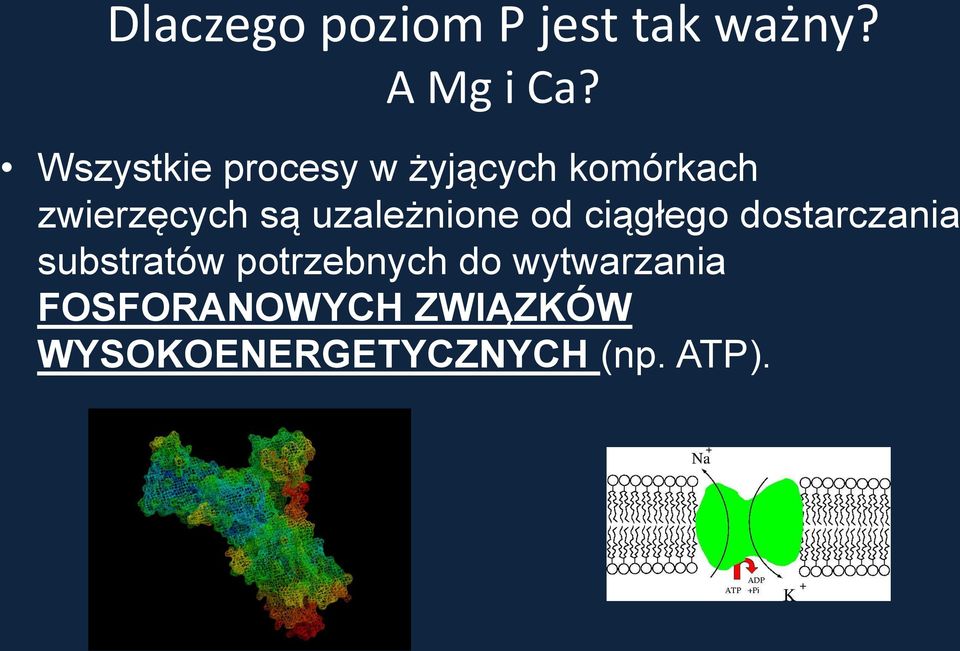 uzależnione od ciągłego dostarczania substratów