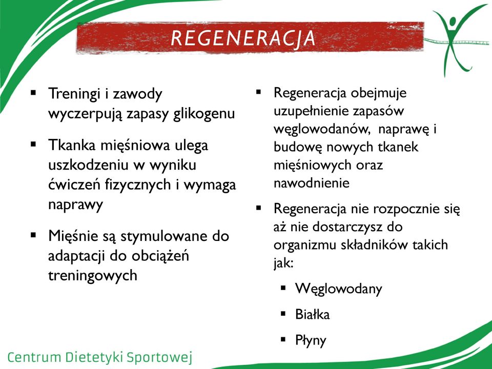 Regeneracja obejmuje uzupełnienie zapasów węglowodanów, naprawę i budowę nowych tkanek mięśniowych oraz