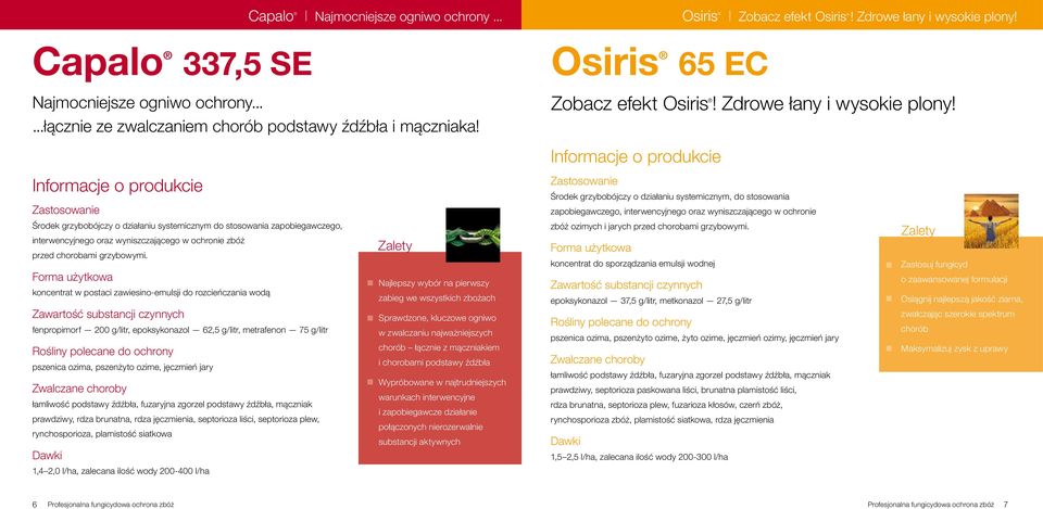 Środek grzybobójczy o działaniu systemicznym, do stosowania zapobiegawczego, interwencyjnego oraz wyniszczającego w ochronie Środek grzybobójczy o działaniu systemicznym do stosowania