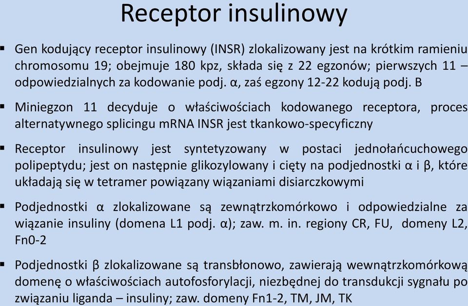 Β Miniegzon 11 decyduje o właściwościach kodowanego receptora, proces alternatywnego splicingu mrna INSR jest tkankowo-specyficzny Receptor insulinowy jest syntetyzowany w postaci jednołańcuchowego