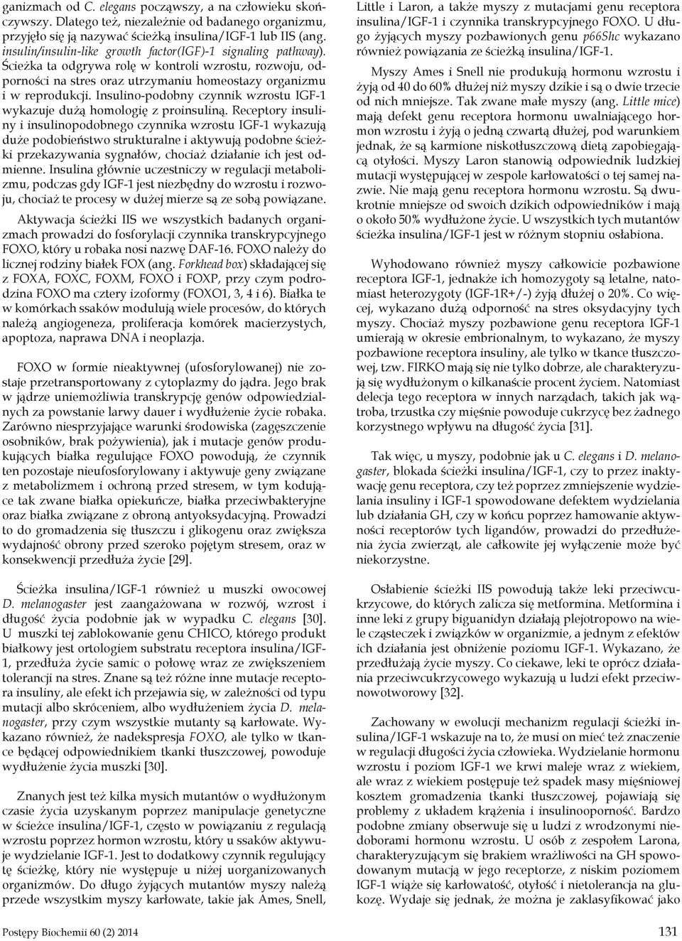 Insulino-podobny czynnik wzrostu IGF-1 wykazuje dużą homologię z proinsuliną.